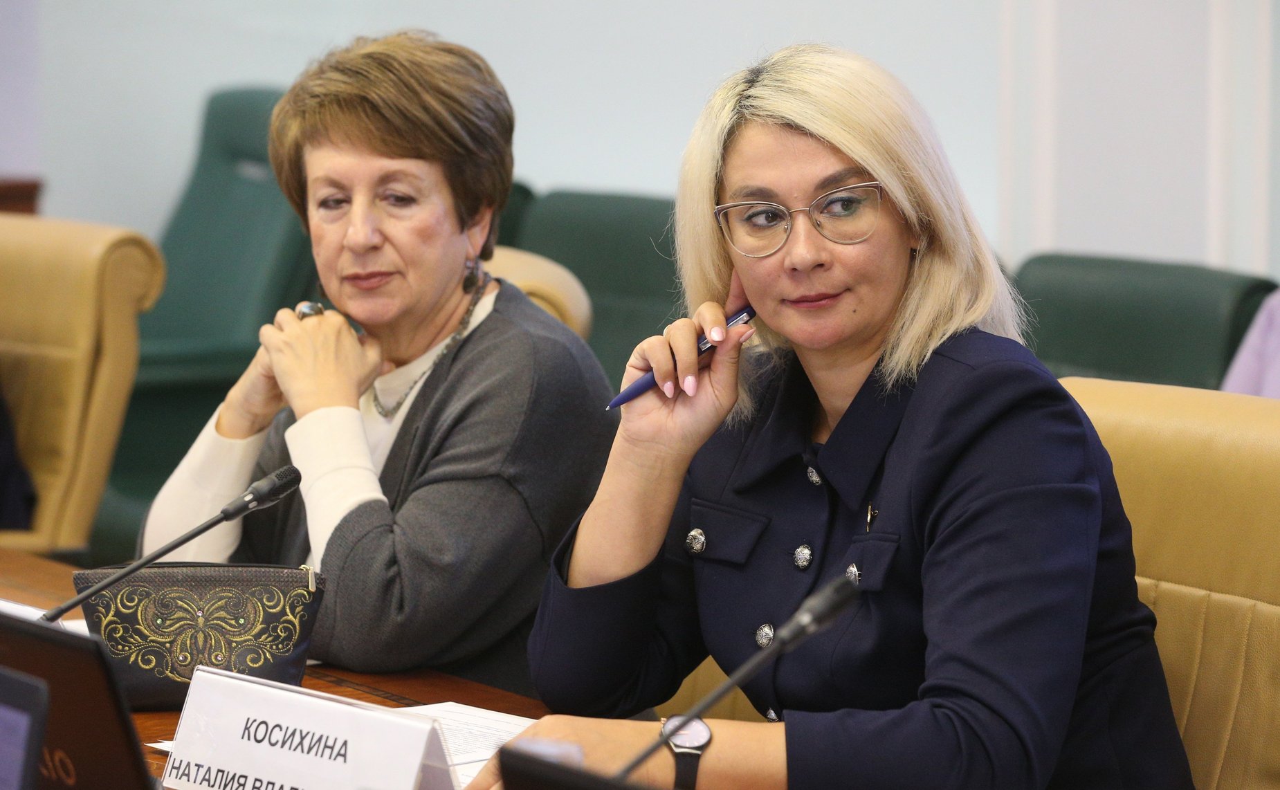 Заседание Комитета СФ по науке, образованию и культуре