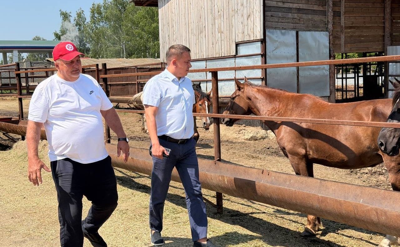 Айрат Гибатдинов провел рабочую поездку по сельским районам Ульяновской области