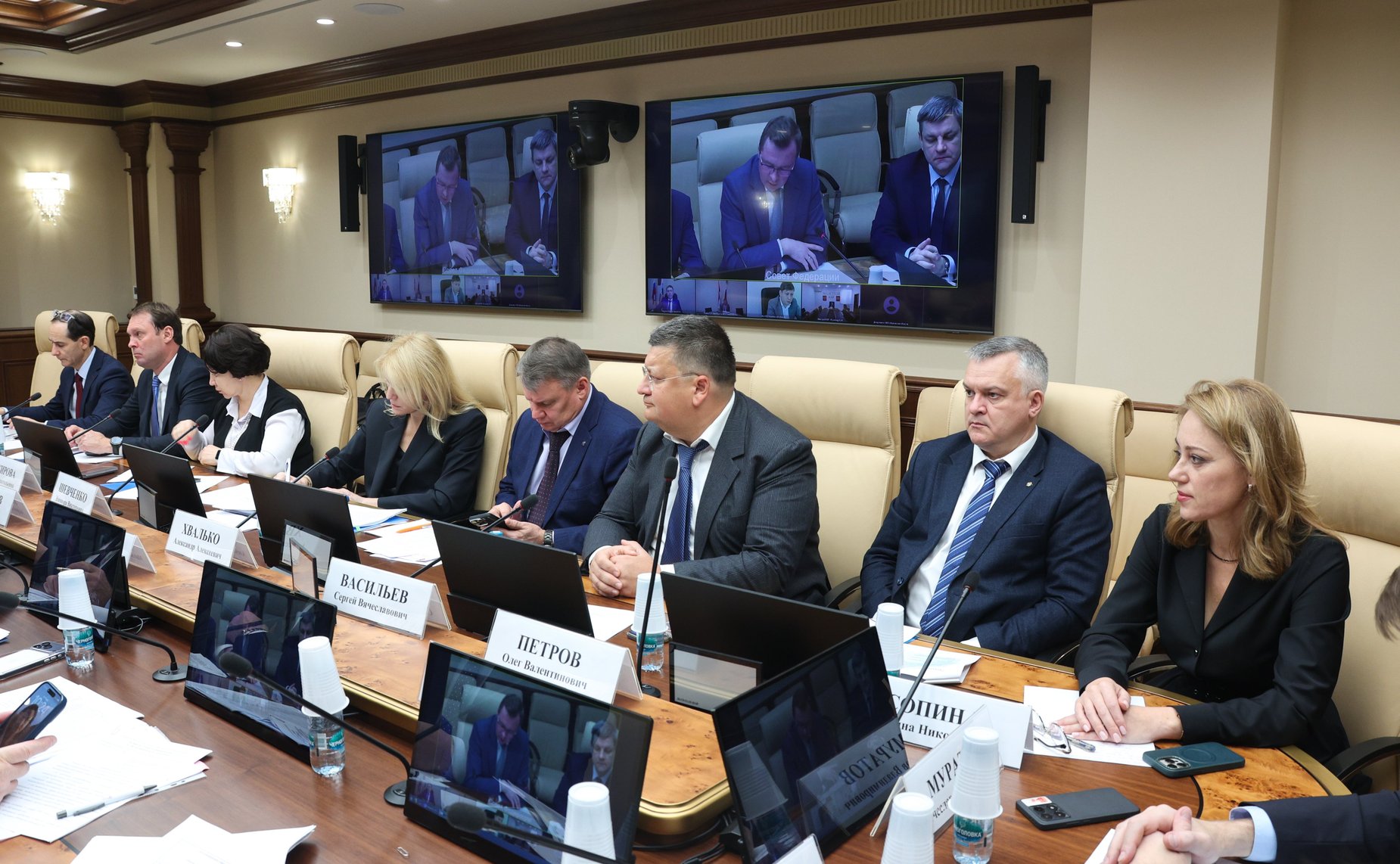 Совещание Комитета Совета Федерации по экономической политике «Анализ текущей ситуации в теплоснабжении и статус подготовки к осенне-зимнему периоду. Меры привлечения инвестиций в отрасль»