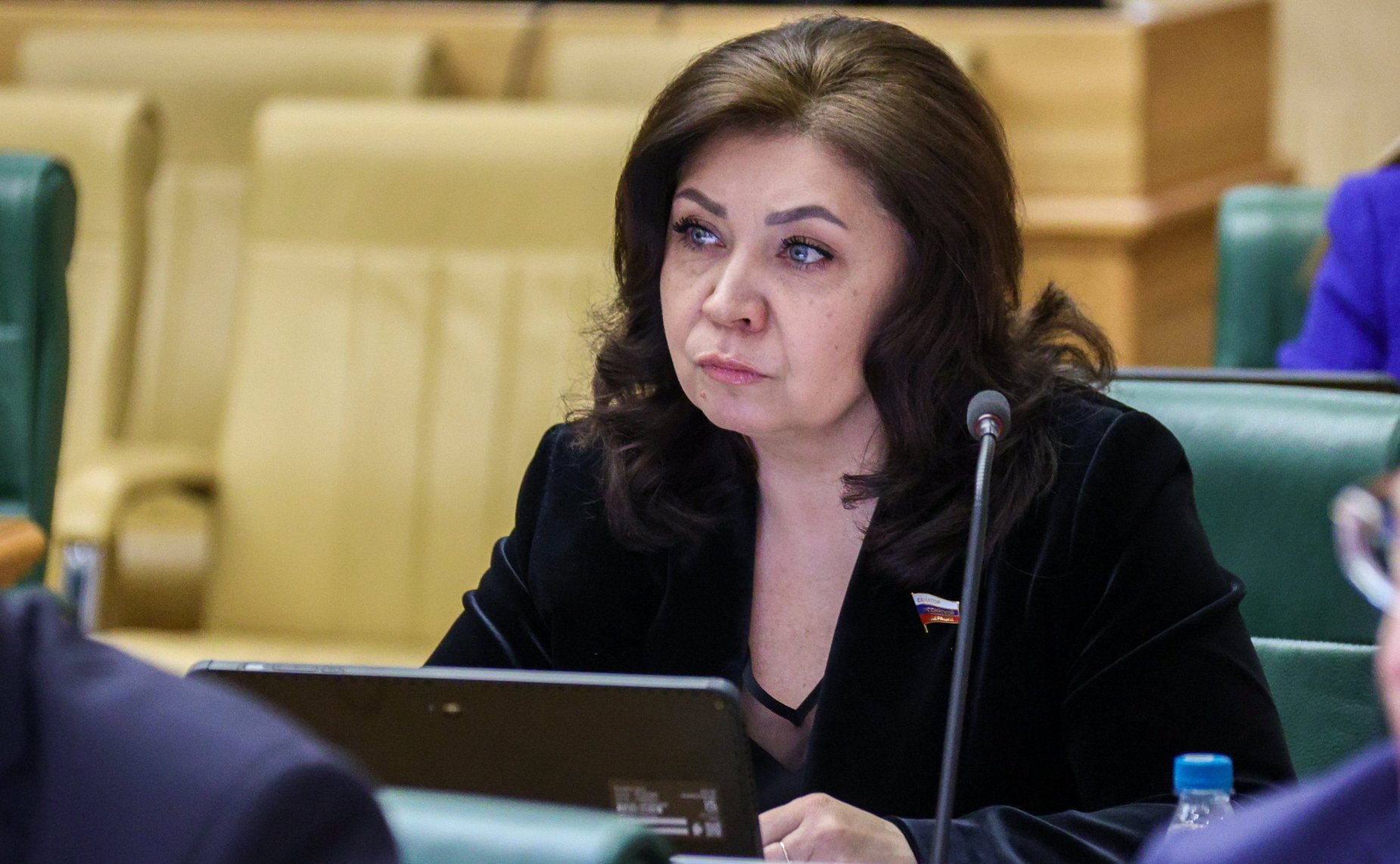 Анна Кочерова