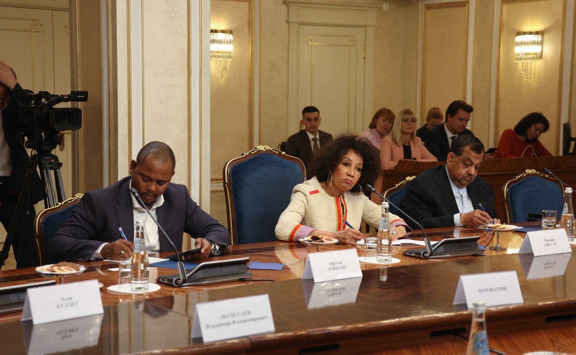 Встреча заместителя Председателя СФ Галины Кареловой с Министром туризма Южно-Африканской Республики Линдиве Сисулу