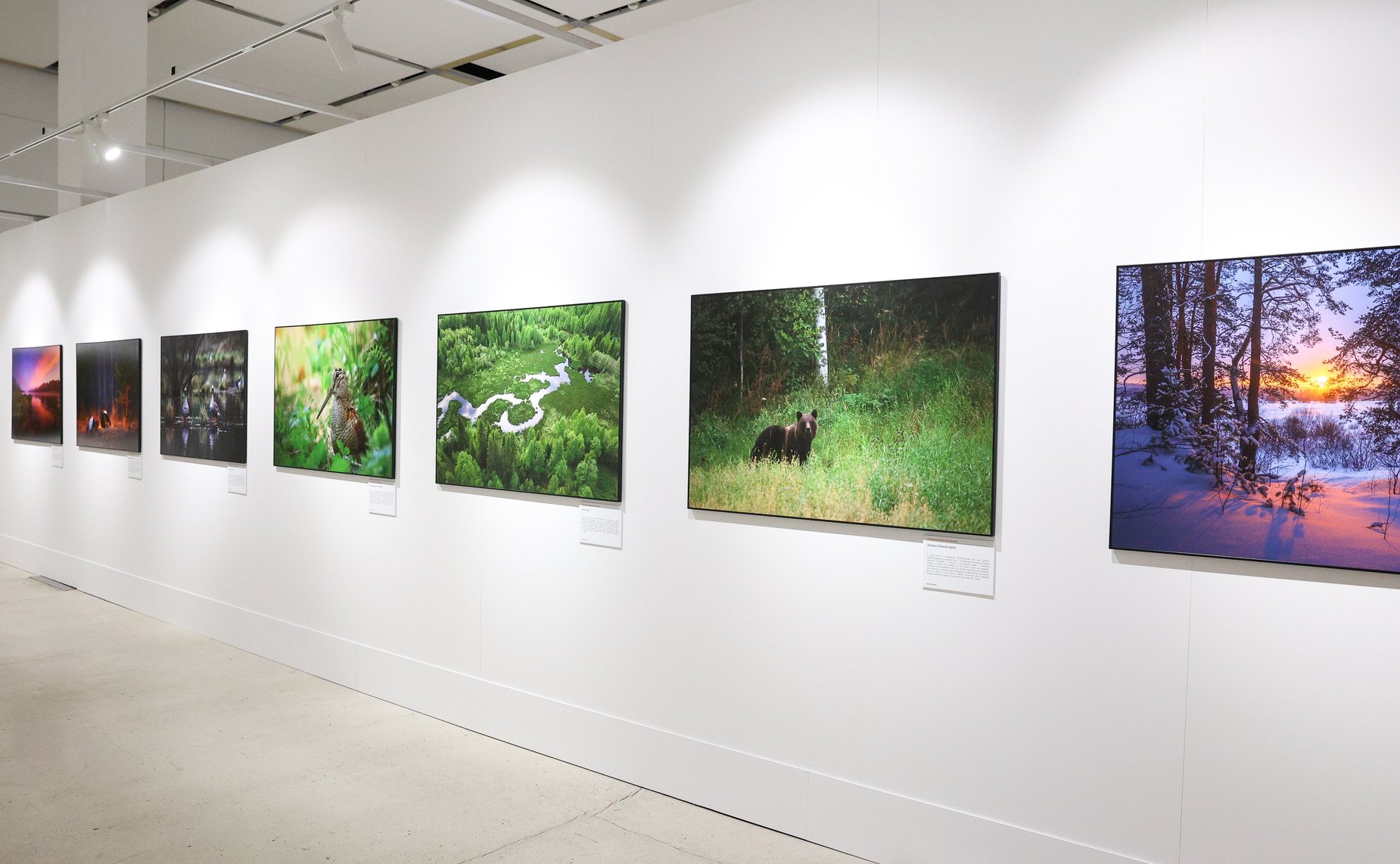 Валентина Матвиенко приняла участие в открытии XIII Общероссийского фестиваля природы «Первозданная Россия», который проходит под эгидой верхней палаты парламента