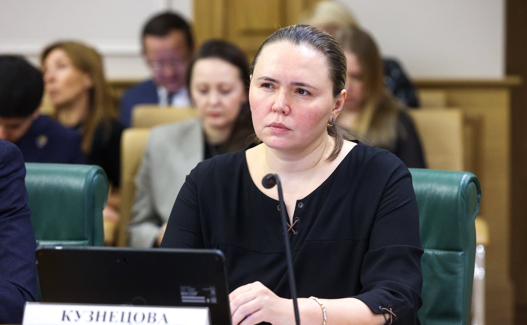 Заседание Комитета Совета Федерации по конституционному законодательству и государственному строительству