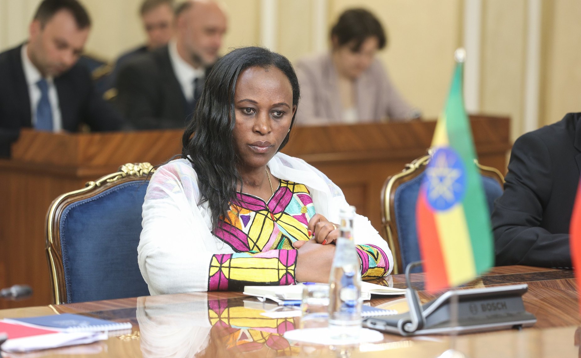 Валентина Матвиенко провела встречу с Председателем Совета Федерации Федеративной Демократической Республики Эфиопии Агеньеху Тешагером