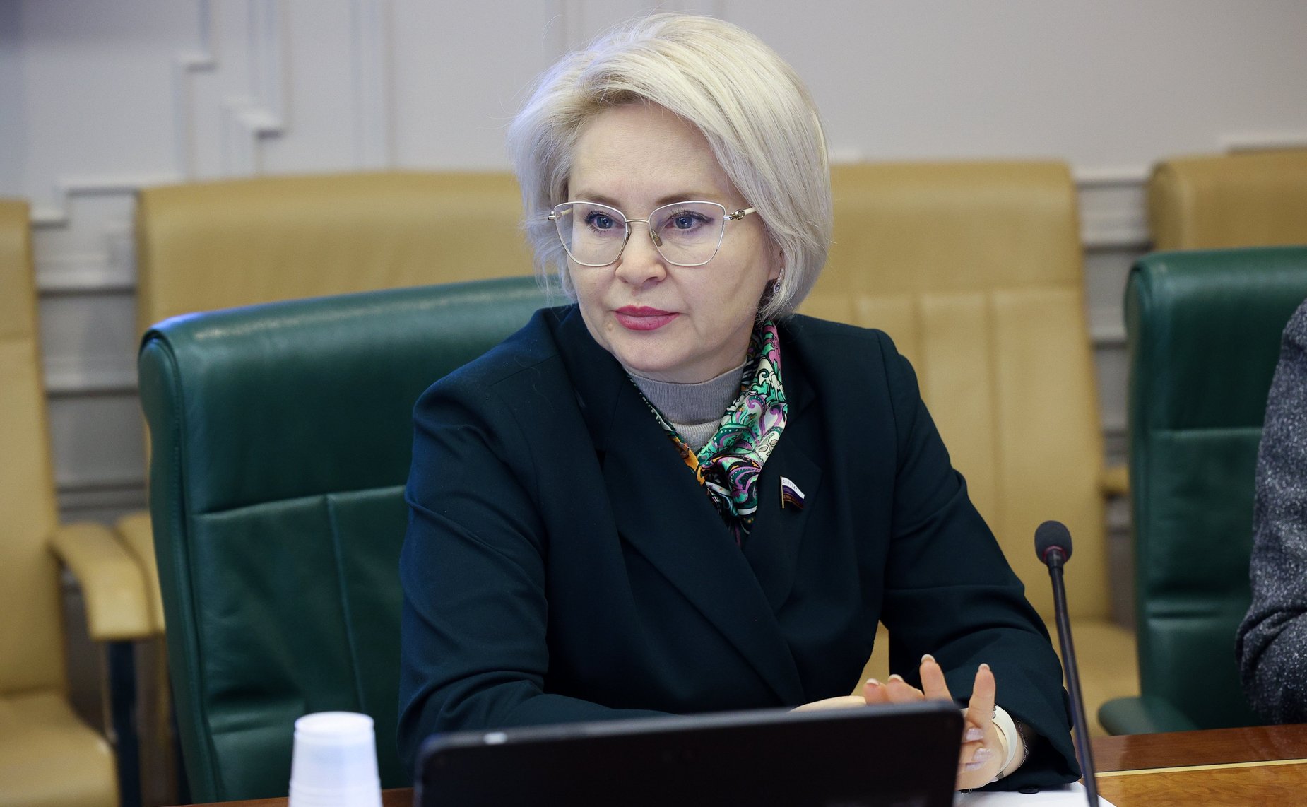 Круглый стол Комитета Совета Федерации по науке, образованию и культуре