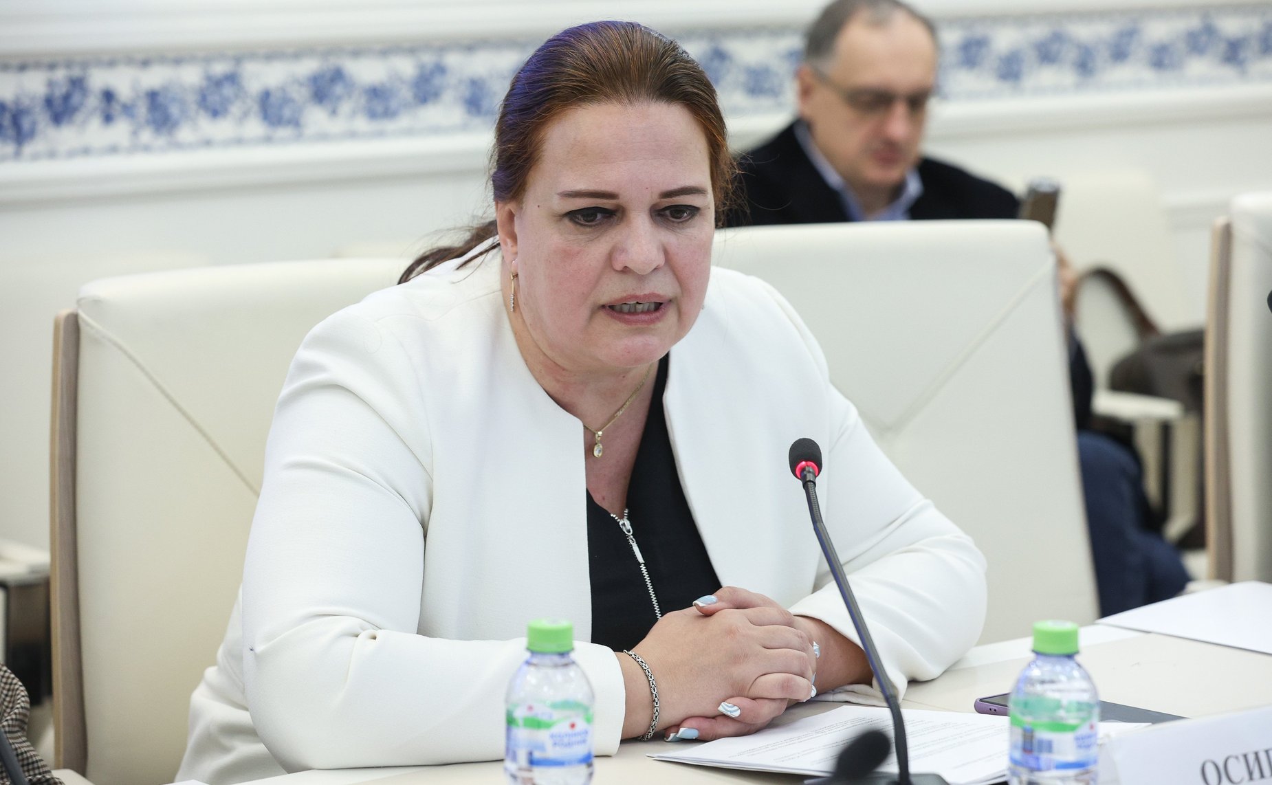 Рабочее совещание Комитета СФ по социальной политике «Цифровизация туризма в РФ»