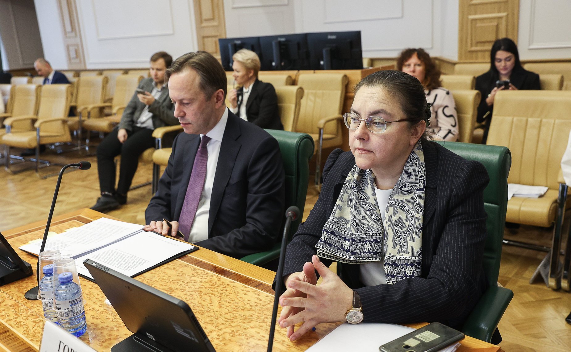 Расширенное заседание Комитета СФ по конституционному законодательству и государственному строительству (в рамках Дней Республики Марий Эл в СФ)