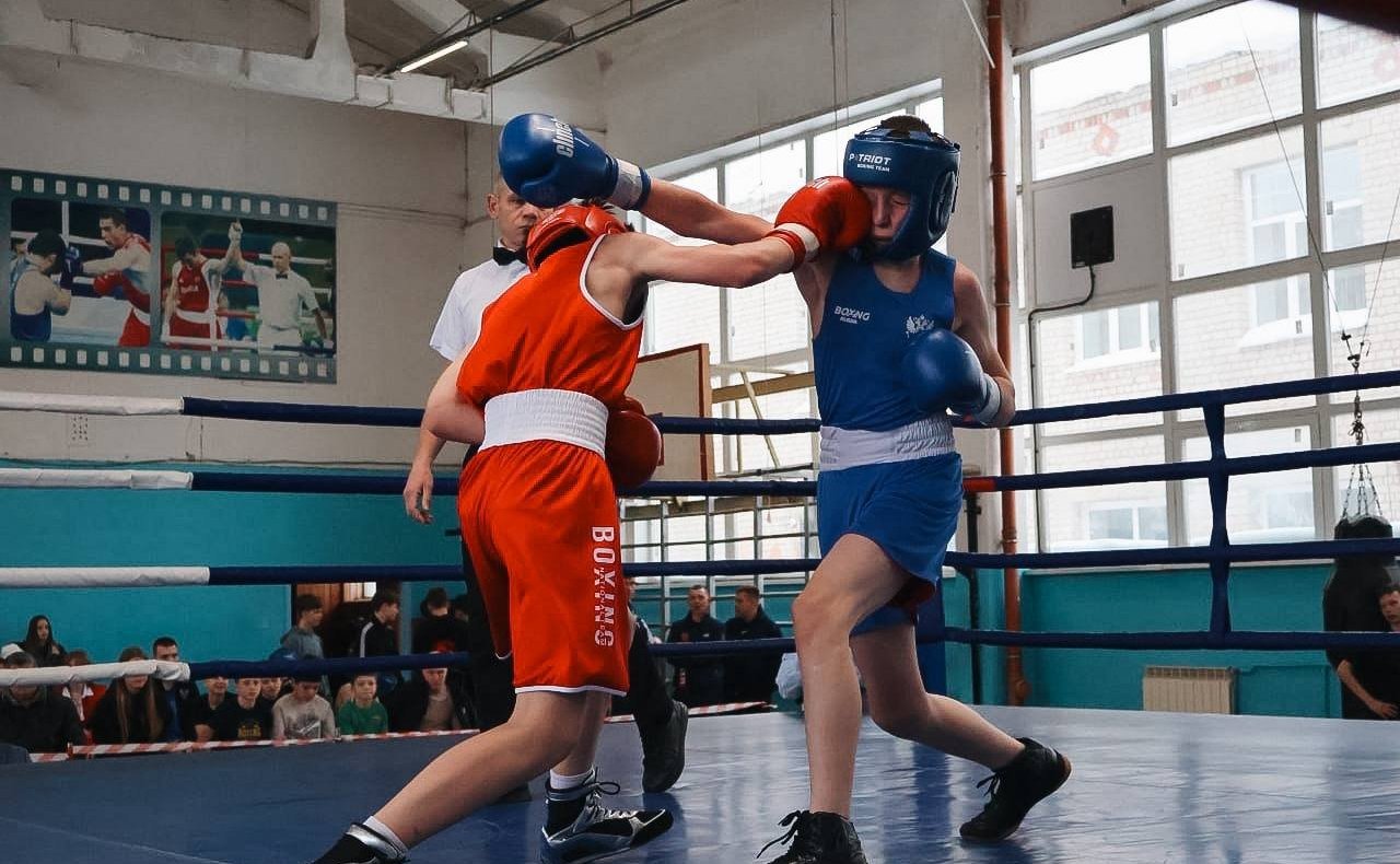 Светлана Кириллова приняла участие в награждении победителей чемпионата и первенства Костромской области по боксу