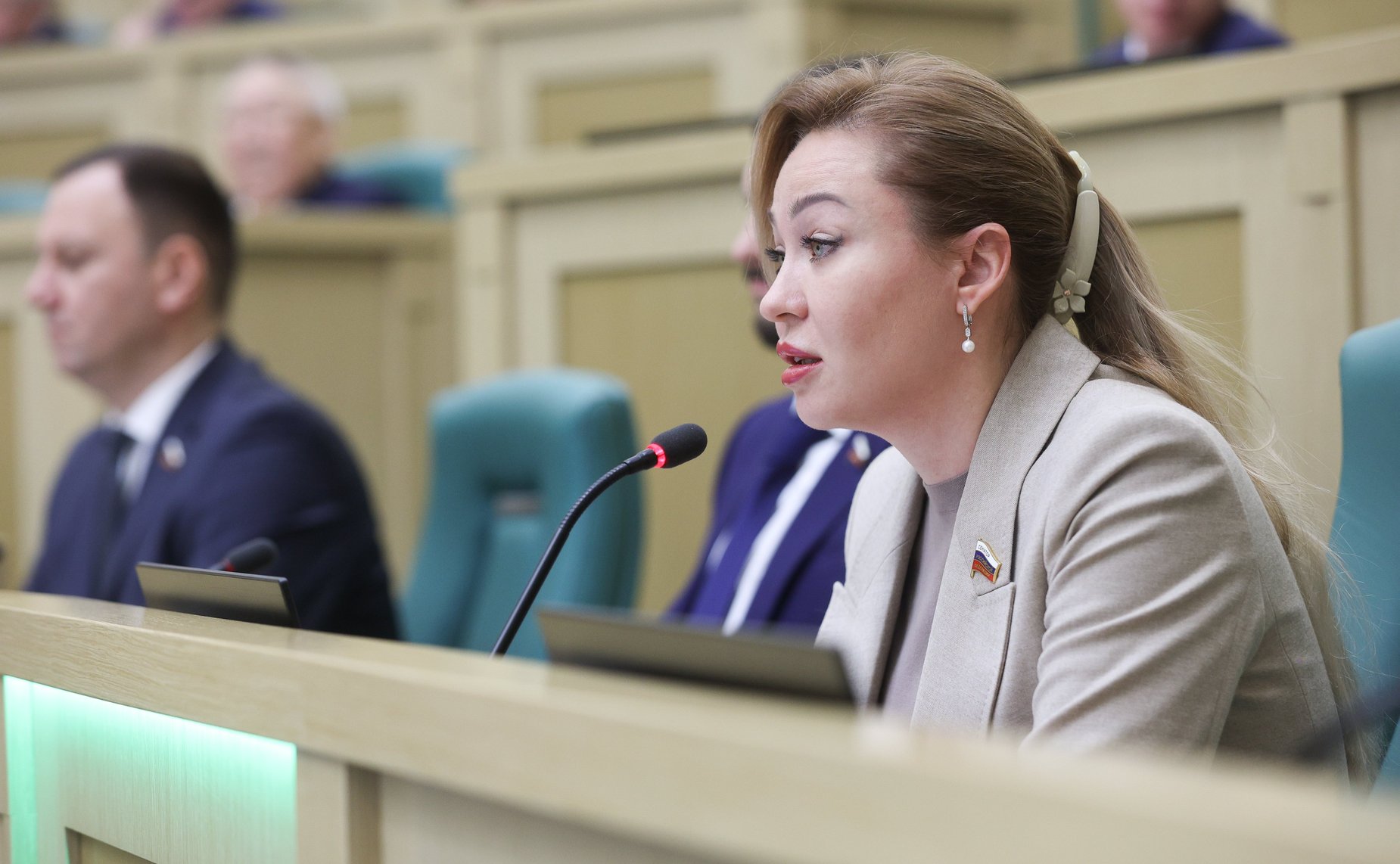 602-е заседание Совета Федерации