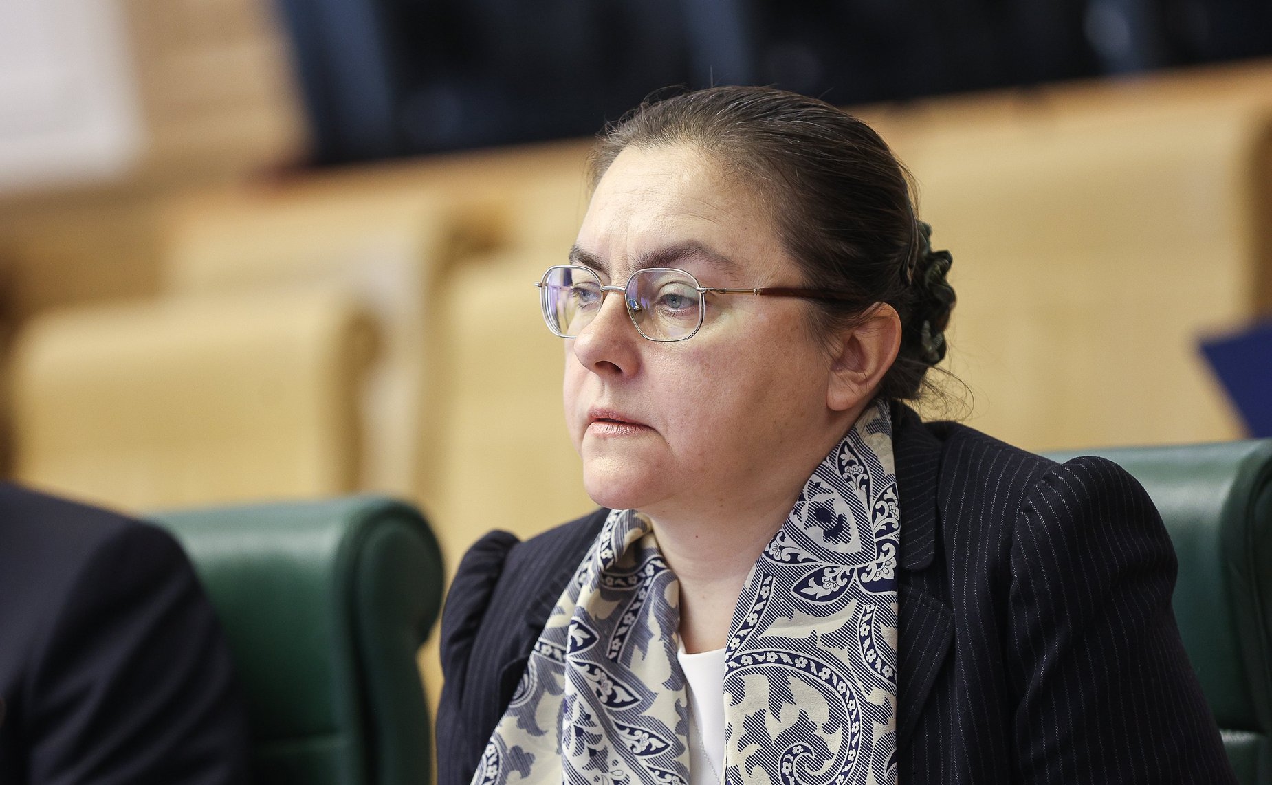 Расширенное заседание Комитета СФ по конституционному законодательству и государственному строительству (в рамках Дней Республики Марий Эл в СФ)