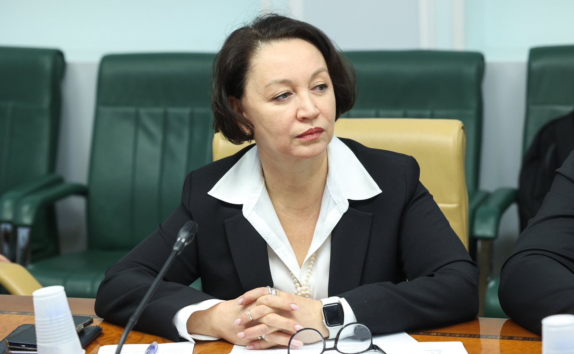 Заседание Совета по вопросам газификации субъектов Российской Федерации при Совете Федерации