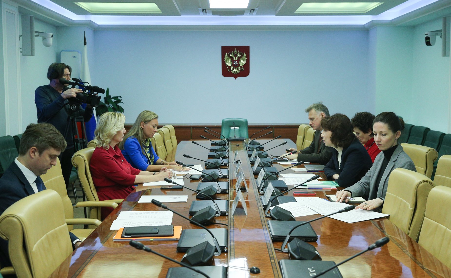 Заседание экспертного совета по социальному развитию при Комитете СФ по социальной политике