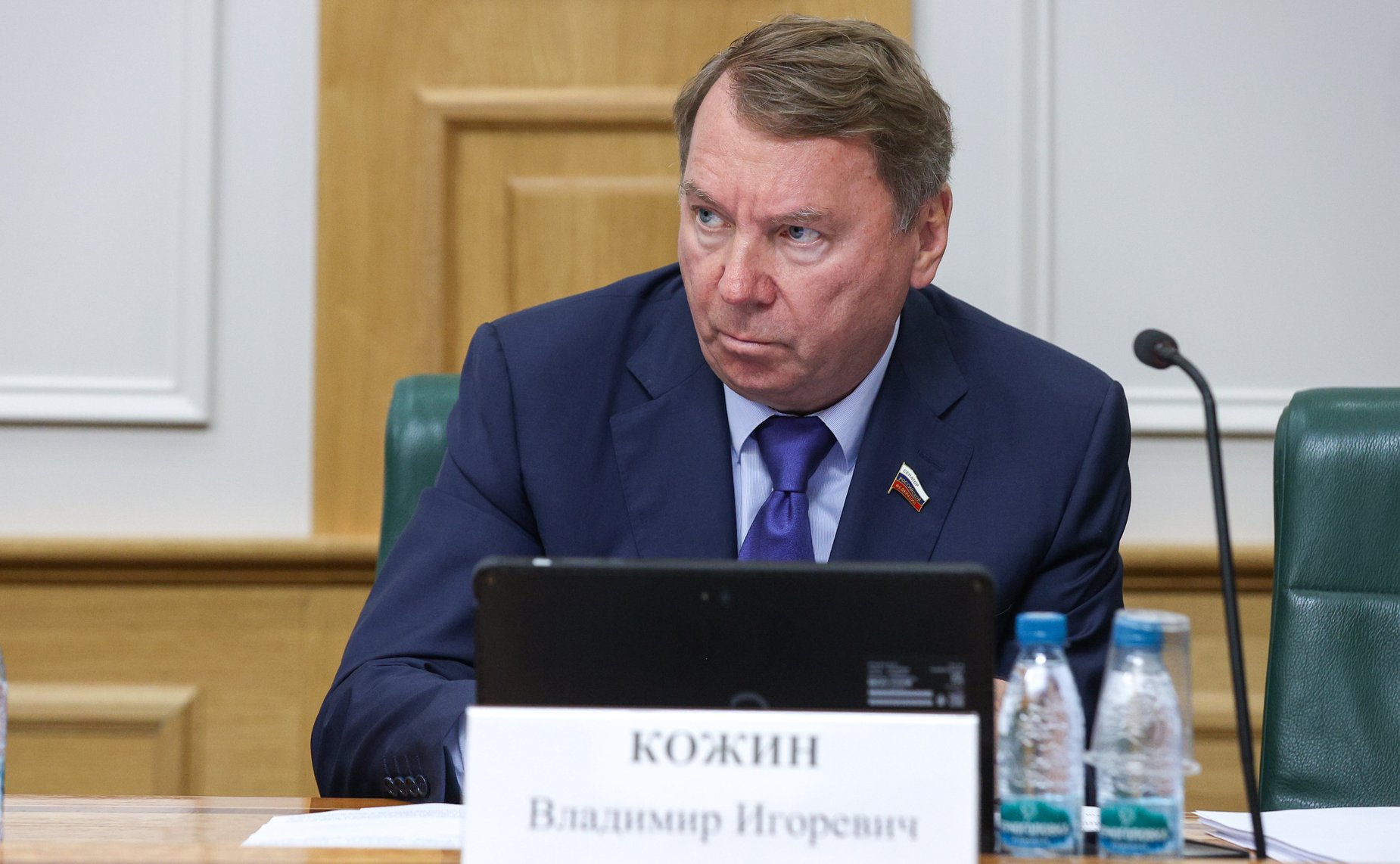 Владимир Кожин