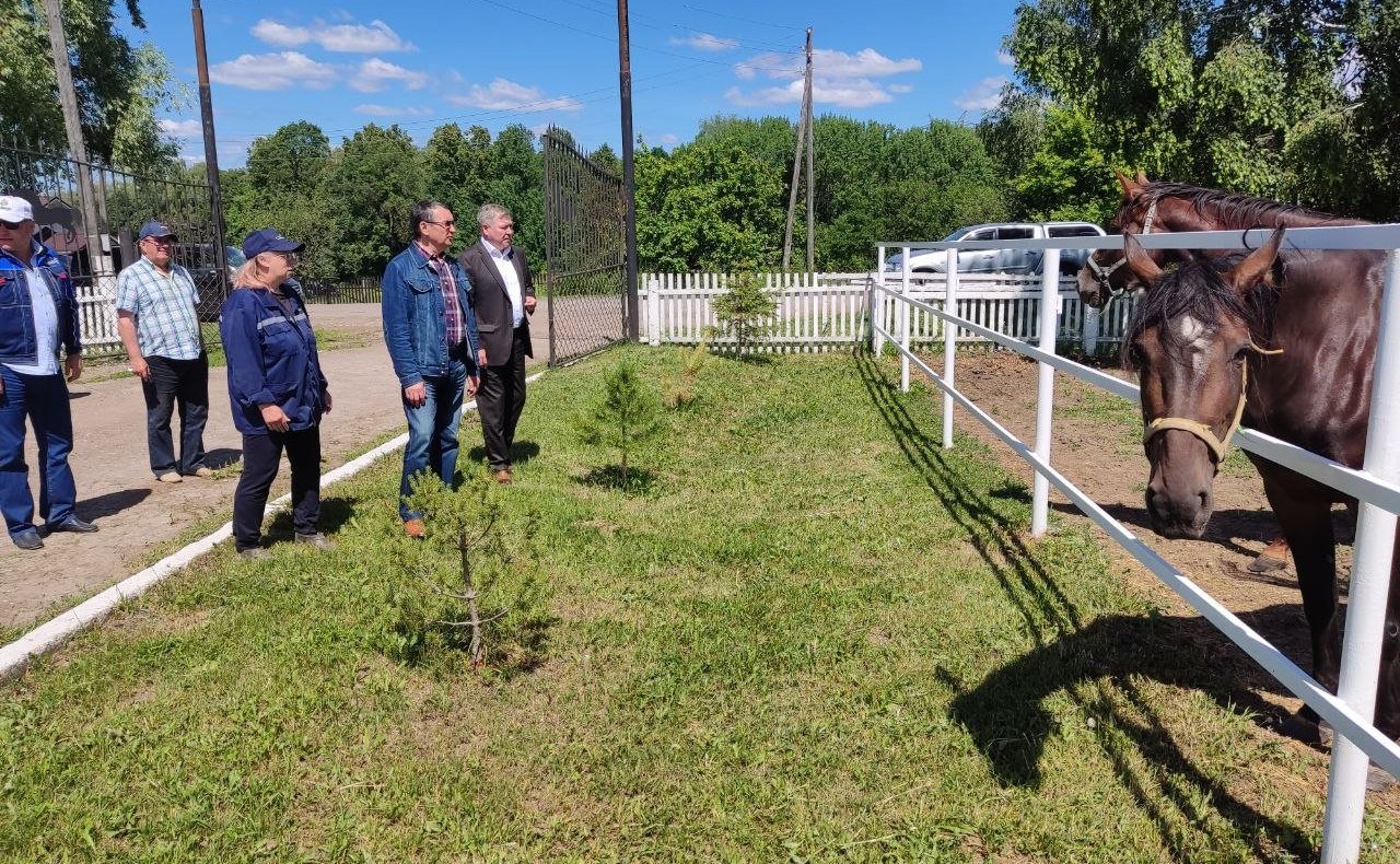 Николай Федоров посетил агропредприятия Ядринского района