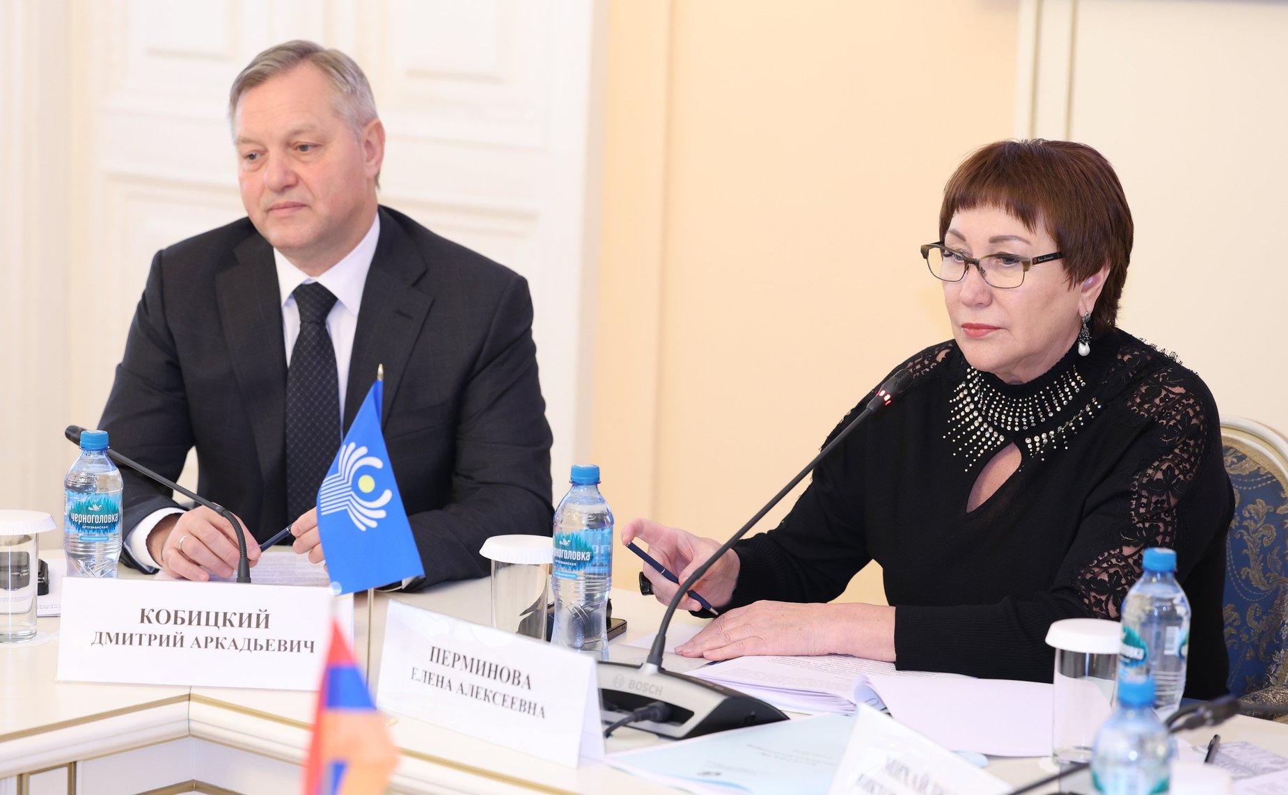 Елена Перминова
