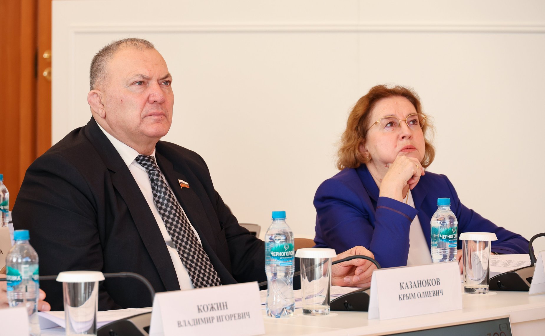 Сенаторы РФ приняли участие в заседании рабочей группы МПА СНГ по подготовке новой редакции Концепции общего миграционного пространства государств — участников СНГ