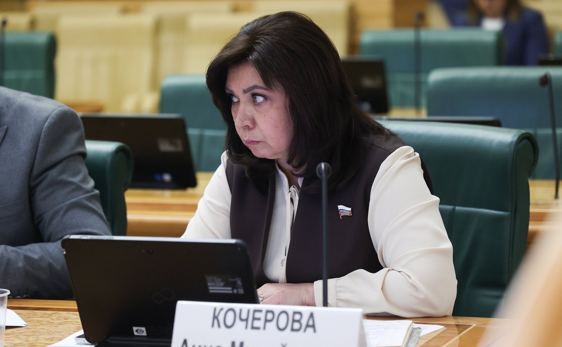 Анна Кочерова