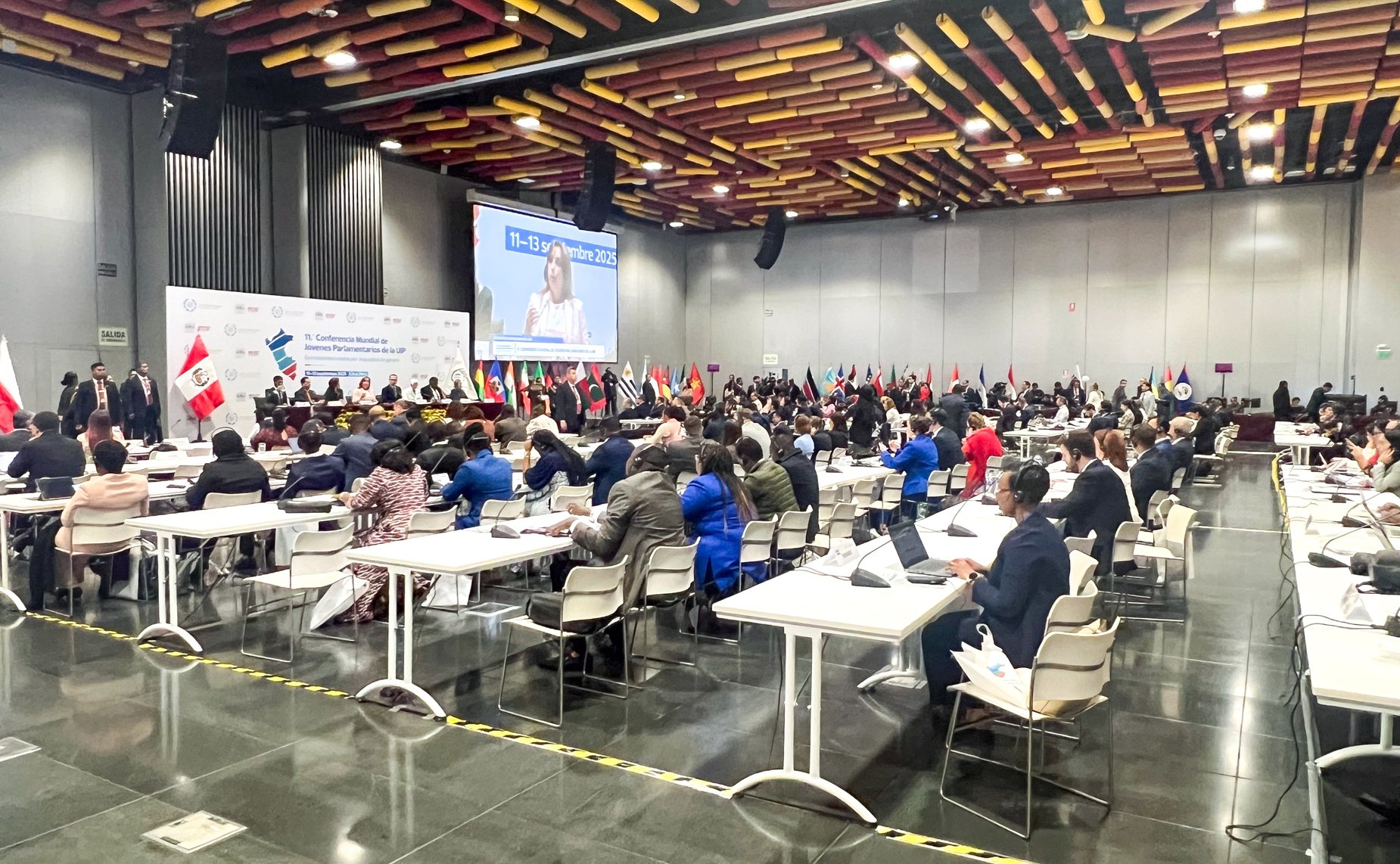 Айрат Гибатдинов и Наталья Кувшинова приняли участие в заседаниях парламентских комиссий в рамках 11-й Всемирной конференции молодых парламентариев МПС