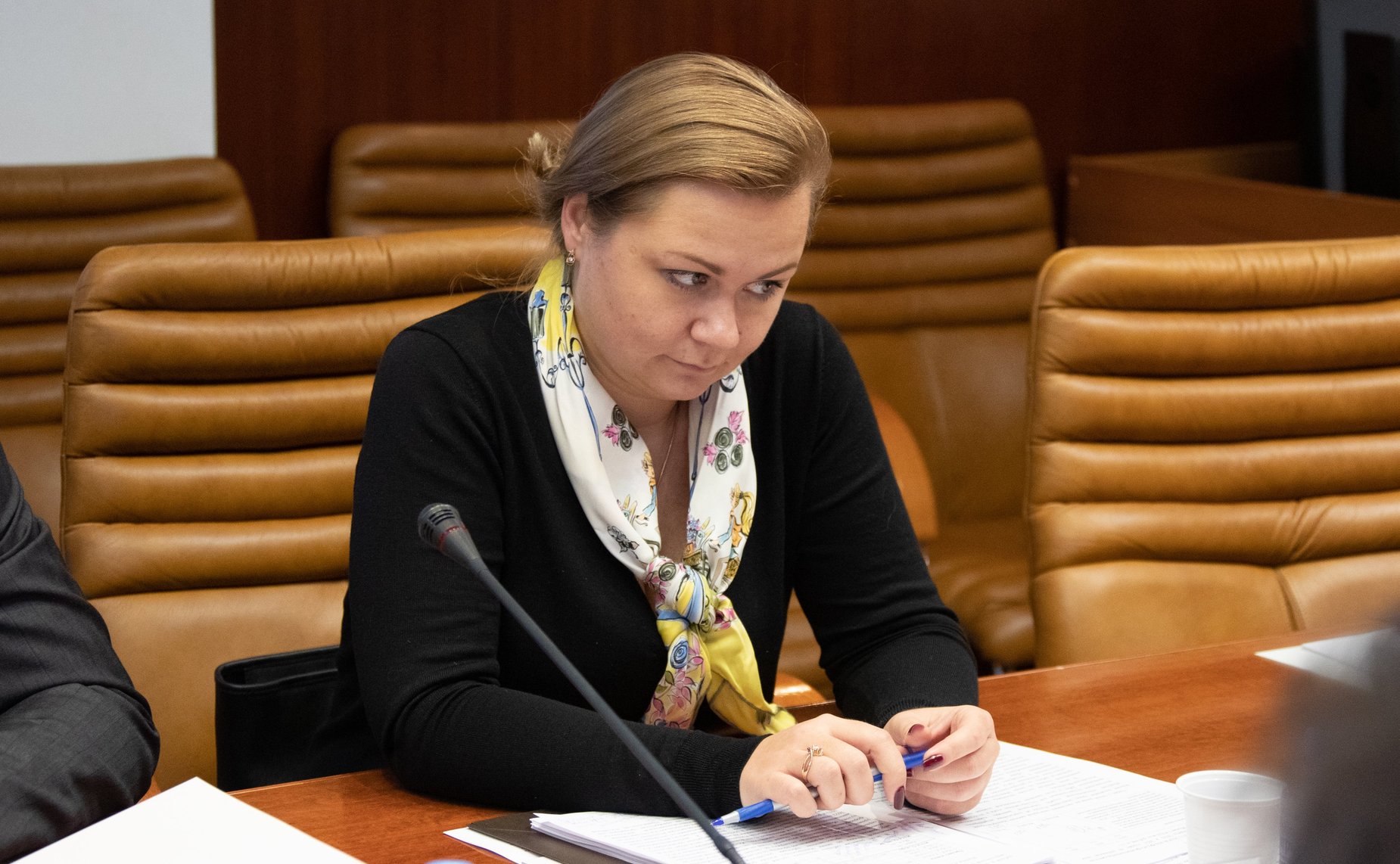 Расширенное заседание Комитета СФ по экономической политике