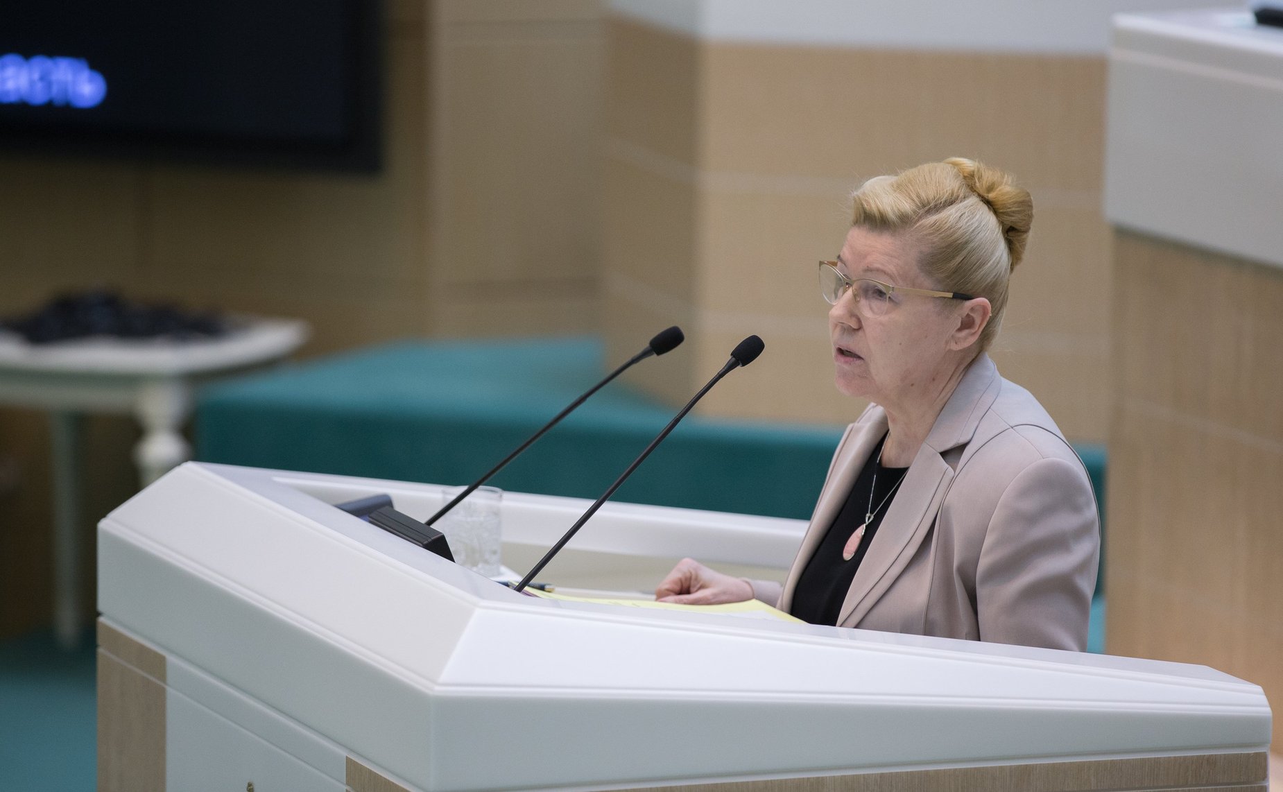 Сенатор Е. Мизулина выступила на 390-м заседании Совета Федерации