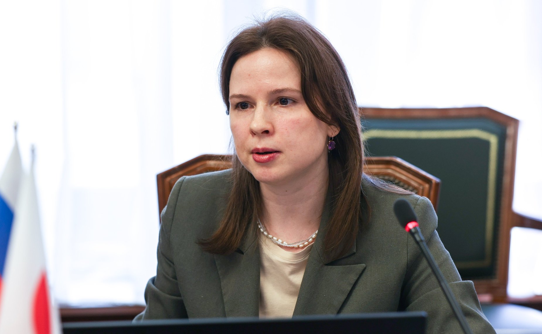 Встреча Григория Карасина с депутатом Палаты советников Парламента Японии