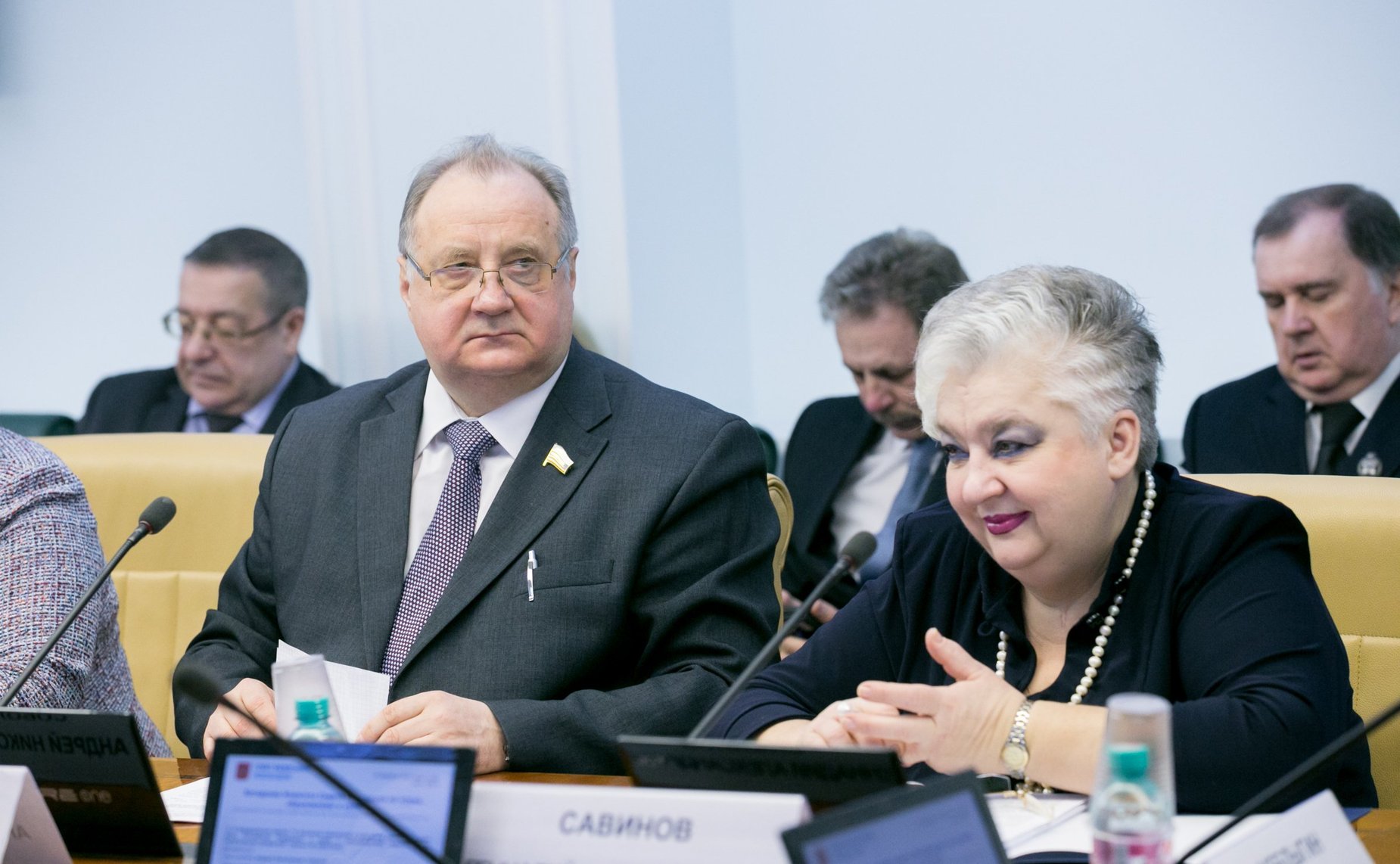 И. Тихонова на заседании Комитета СФ по науке образованию и культуре