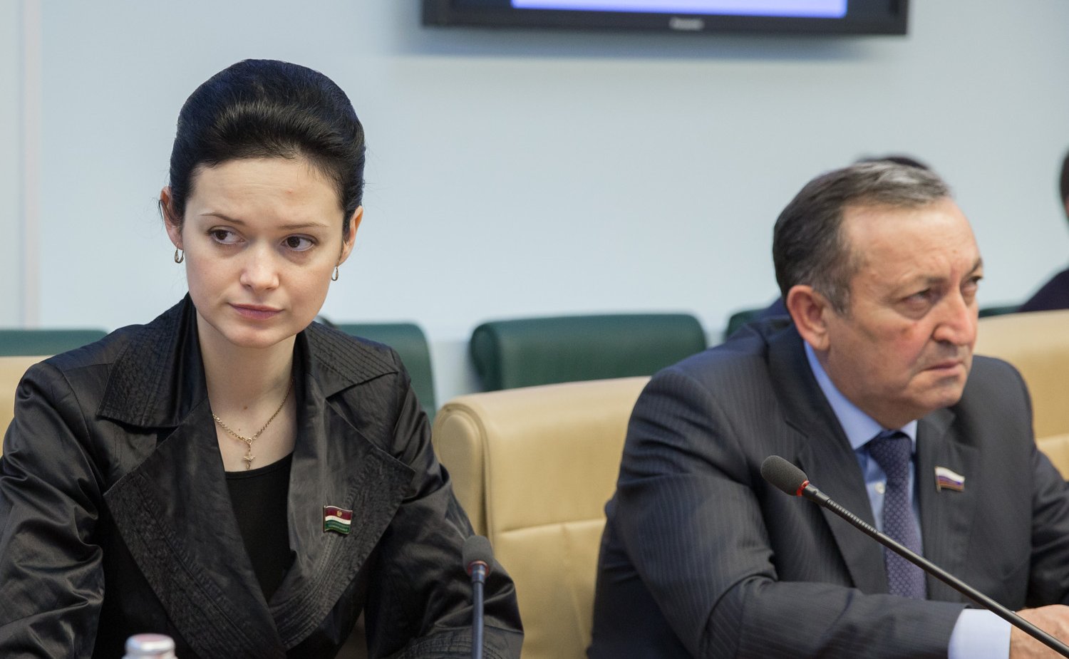 26-11-13 Заседание комитета СФ по Соцполитике-11