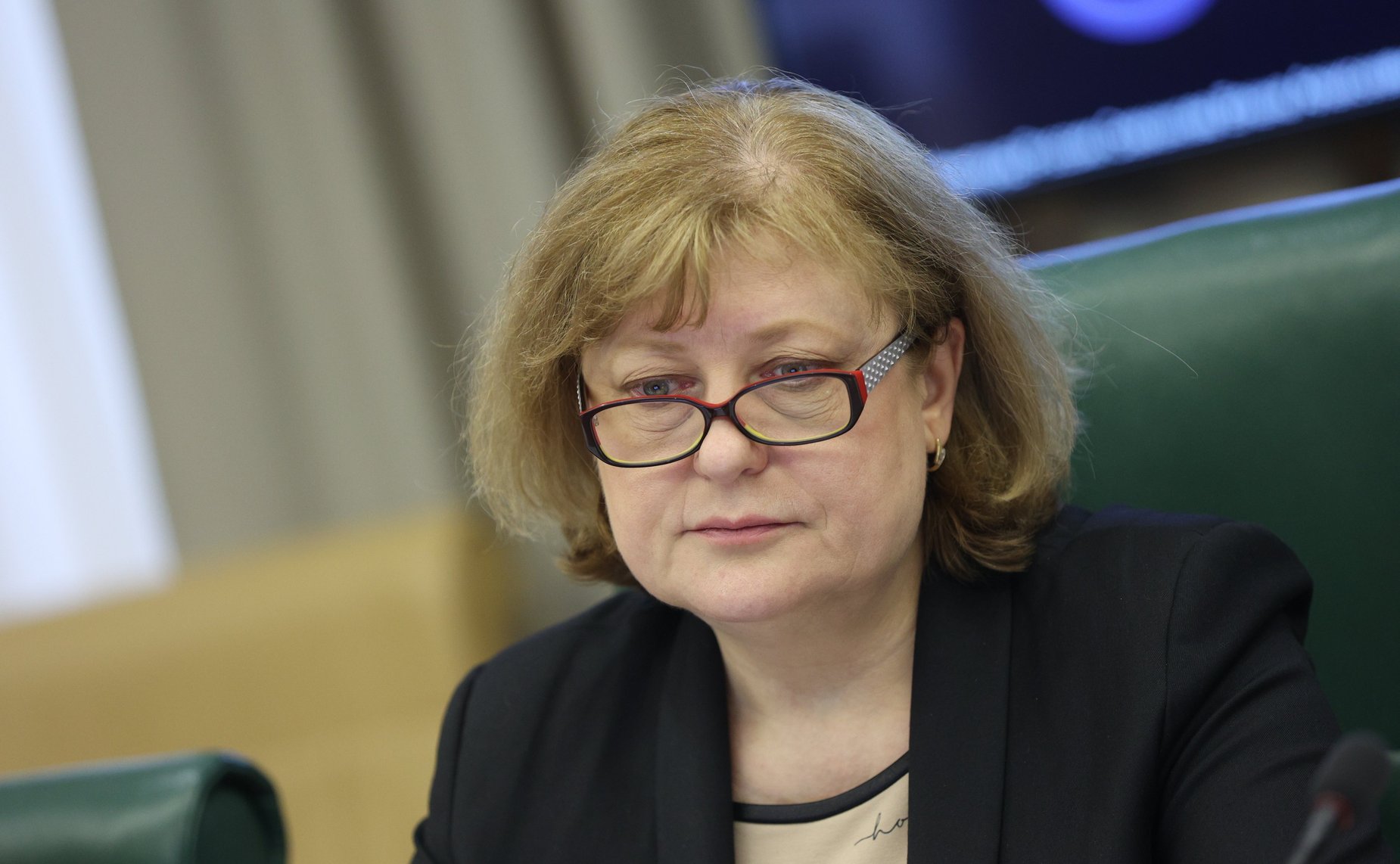 Совещание Комитета СФ по науке, образованию и культуре