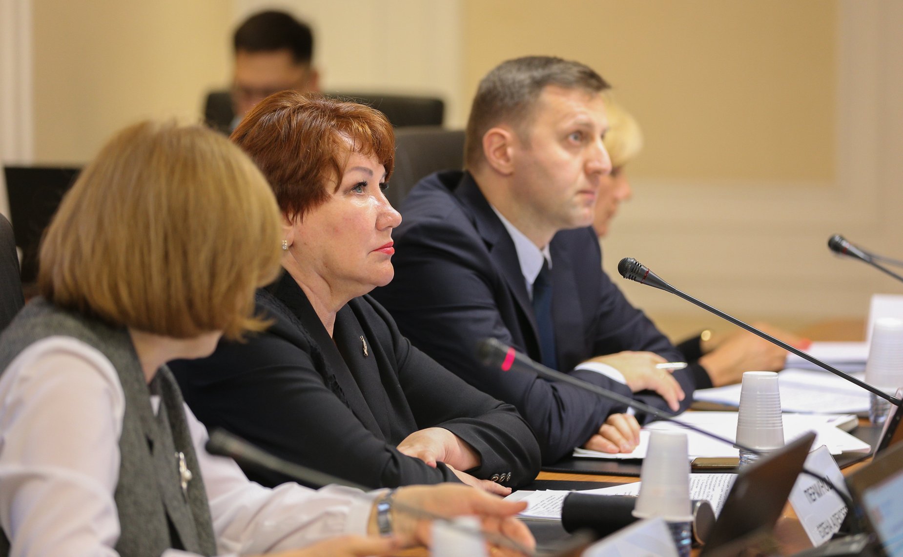 Заседание Комитета СФ по науке, образованию и культуре