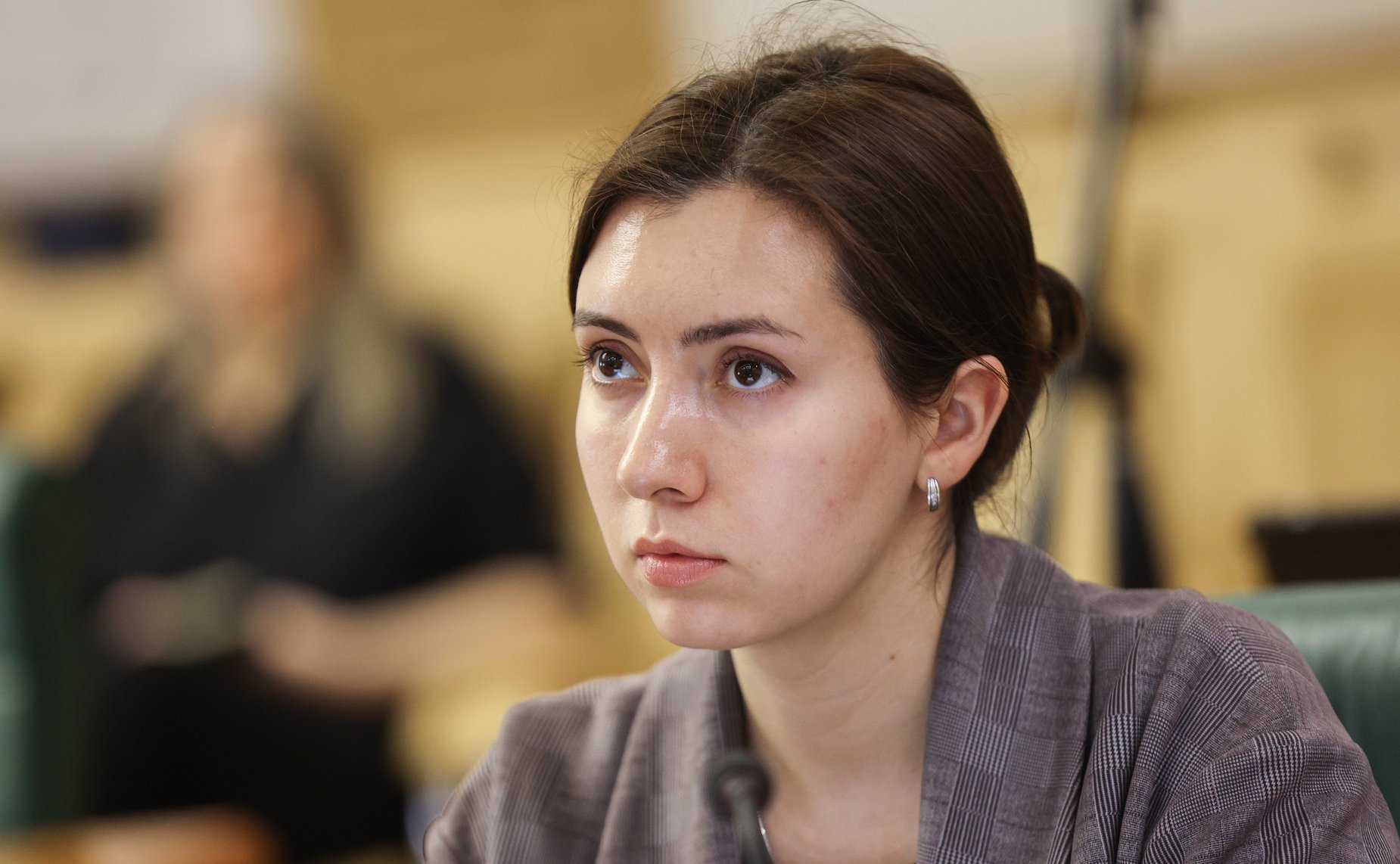 Заседание Комитета СФ по науке, образованию и культуре