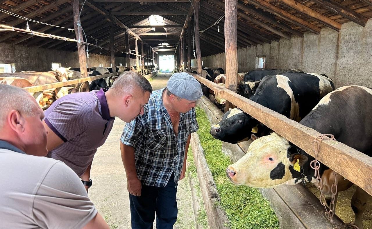 Айрат Гибатдинов в ходе поездки в регион посетил предприятия агропромышленного комплекса в Вешкаймском районе