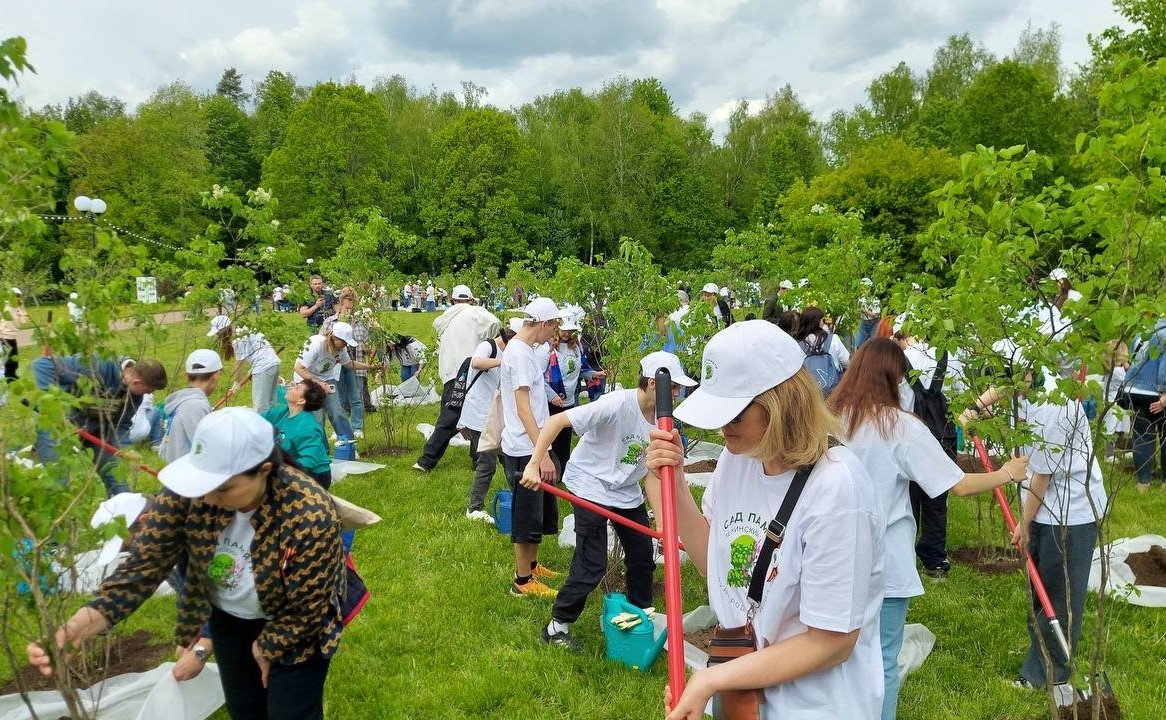 Елена Афанасьева приняла участие в международной акции «Сад Памяти»