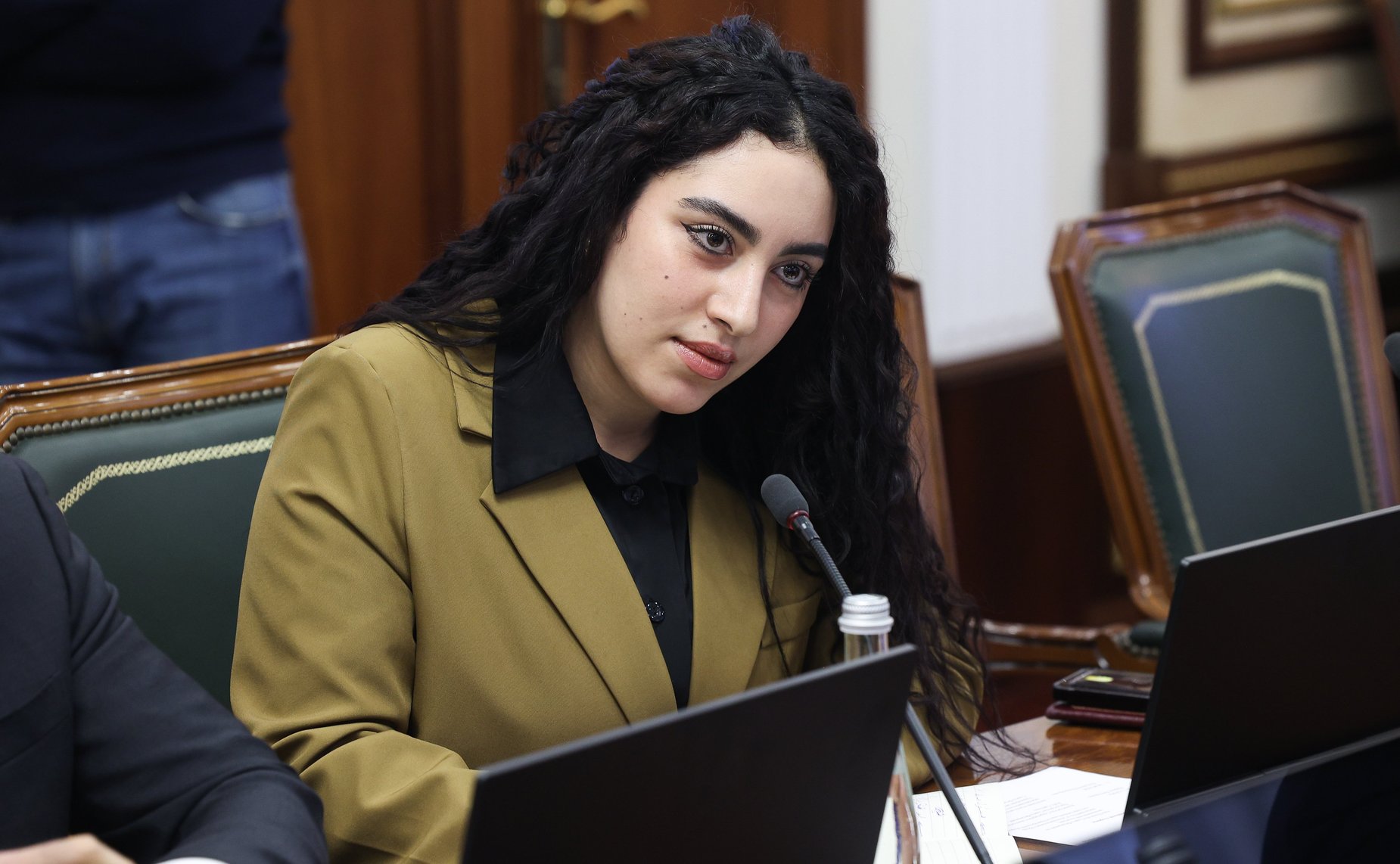 Встреча заместителя Председателя Совета Федерации Инны Святенко с Чрезвычайным и Полномочным Послом Арабской Республики Египет в Российской Федерации Хамди Шаабаном