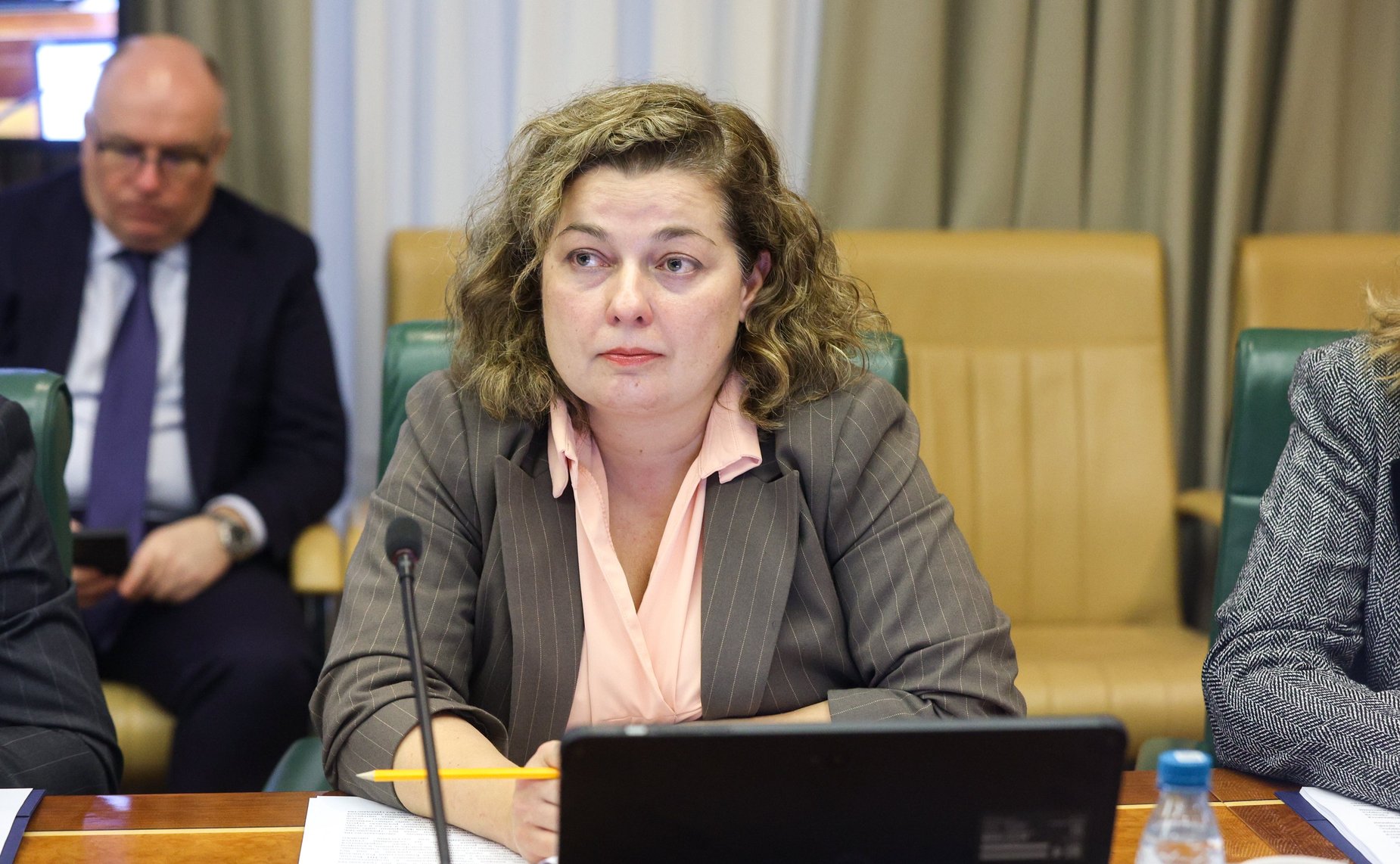 Заседание Комитета Совета Федерации по международным делам