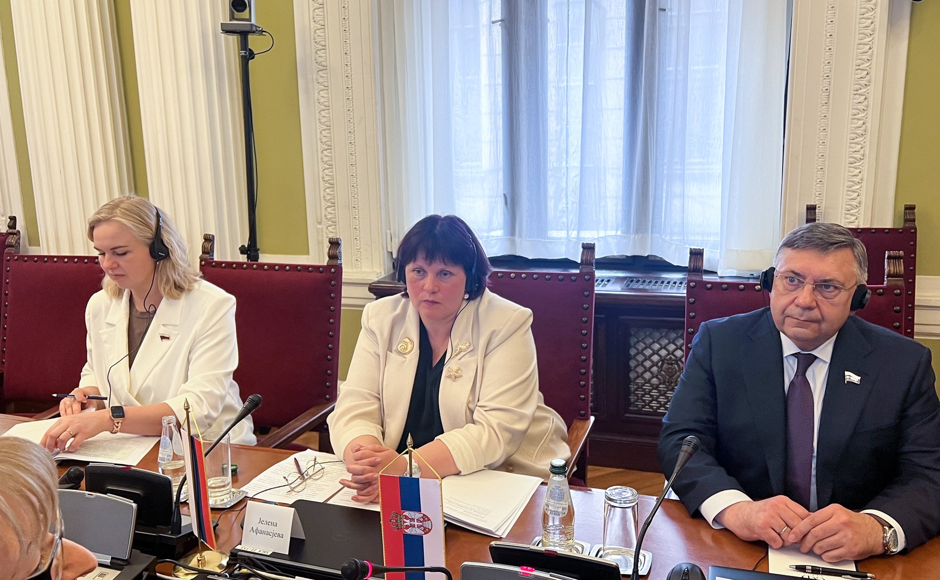 Встреча сенаторов с заместителем Председателя Народной скупщины Республики Сербии, председателем Комитета Народной скупщины Республики Сербии по внешней политике Мариной Рагуш