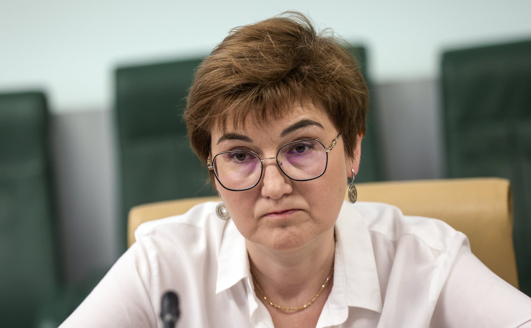 Совещание Комитета Совета Федерации по федеративному устройству, региональной политике, местному самоуправлению и делам Севера