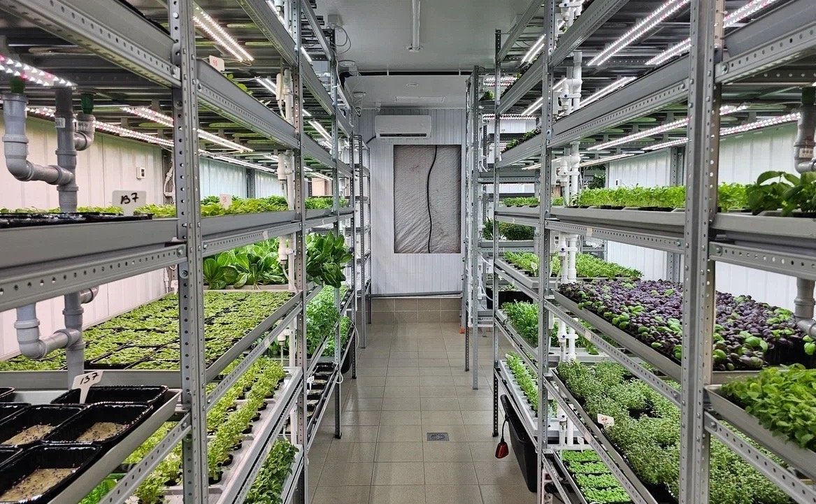 Лариса Круглова совместно с главой Кольского округа провела встречу с представителями малого и среднего бизнеса