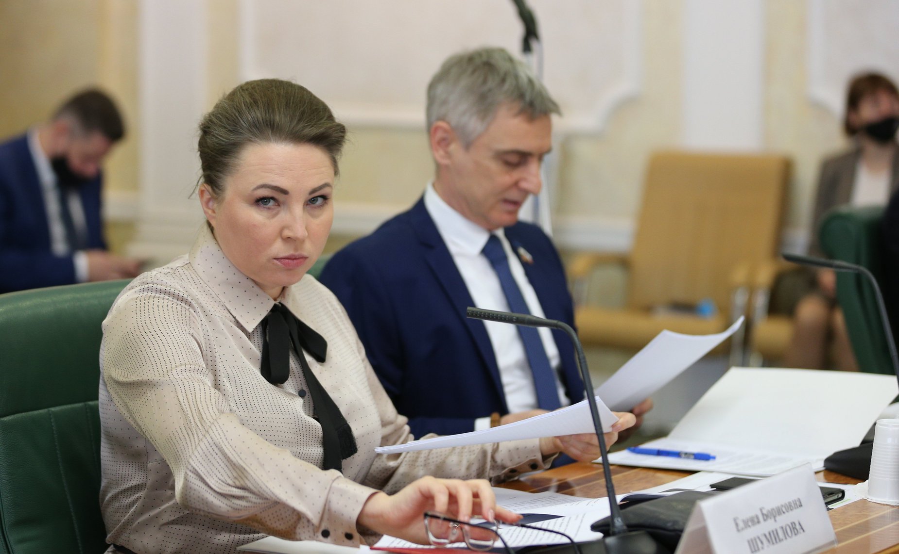 Елена Шумилова