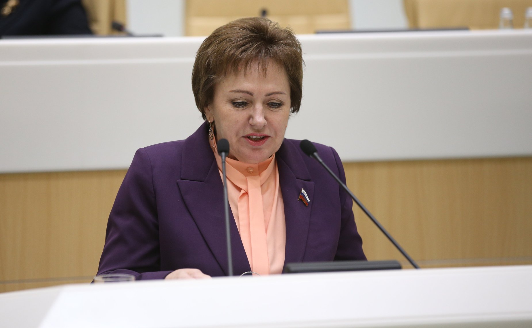 Елена Бибикова