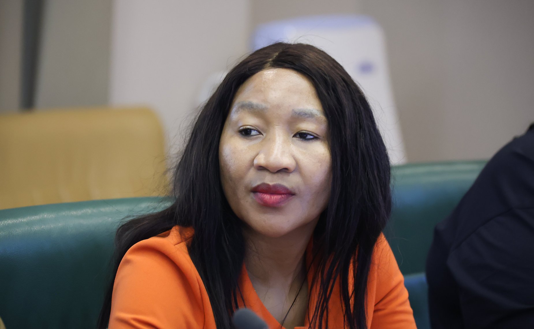 Александр Варфоломеев провел встречу с делегацией Законодательного Собрания Северо-Западной провинции Южно-Африканской Республики при участии Палаты молодых законодателей при Совете Федерации