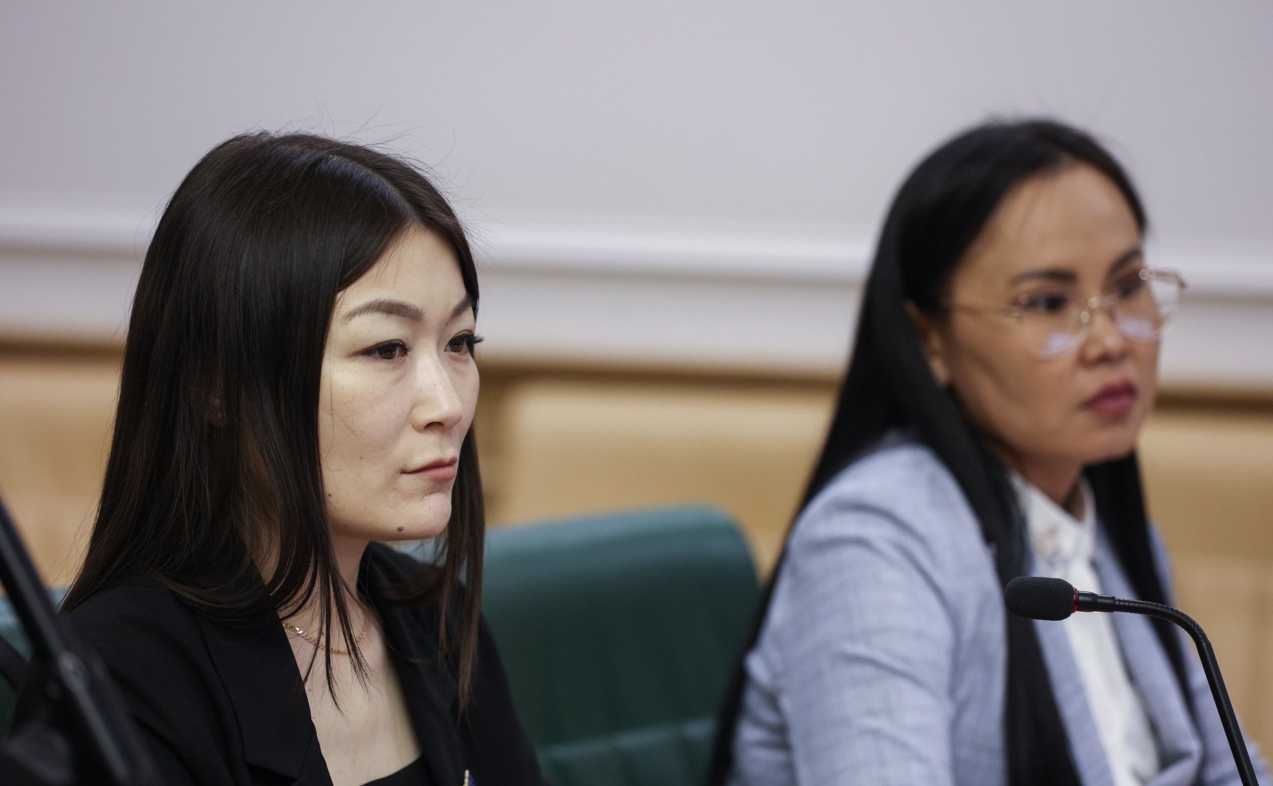 Встреча заместителя Председателя СФ Константина Косачева с членами Палаты молодых законодателей при СФ