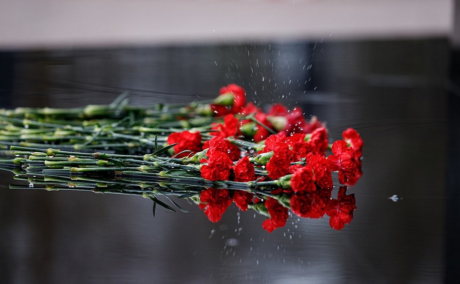 Андрей Турчак принял участие в мероприятиях, посвященных памяти псковских десантников