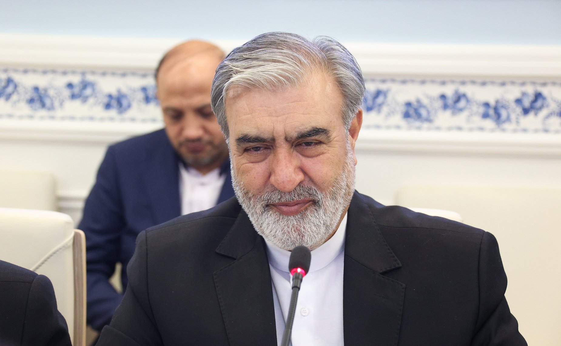 Встреча первого заместителя председателя Комитета СФ по науке, образованию и культуре Дмитрия Василенко с председателем Комиссии по национальной безопасности и внешней политике Собрания Исламского Совета Исламской Республики Иран Эбрахимом Азизи