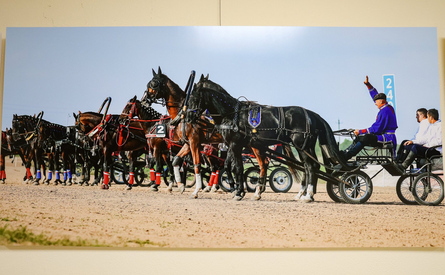 В Совете Федерации прошла церемония открытия выставки «250-летие Орловской рысистой породы лошадей»