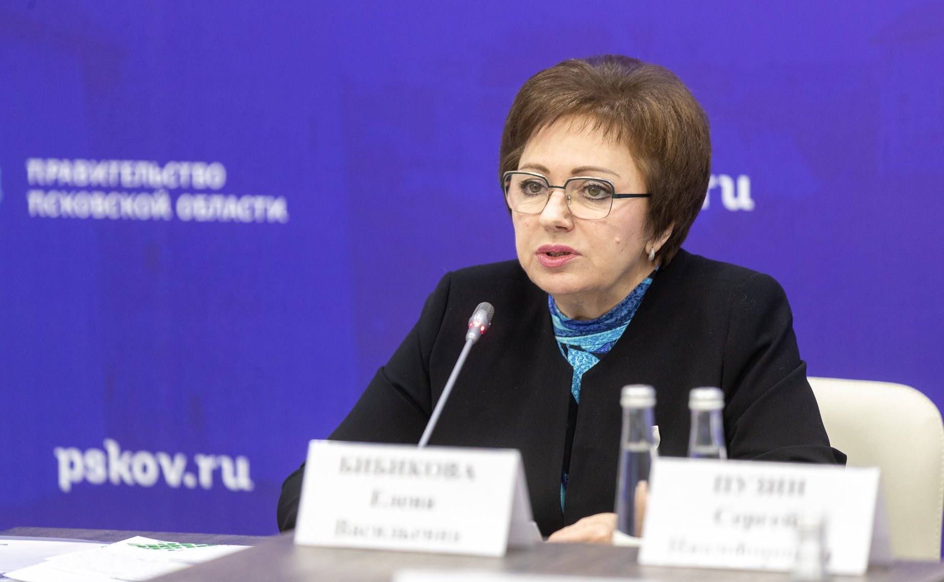 Елена Бибикова