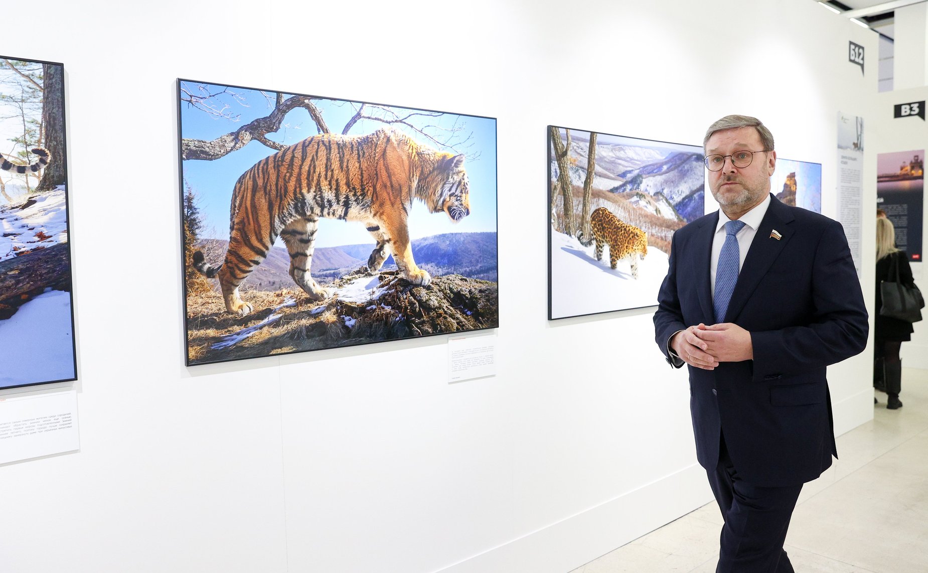 Константин Косачев