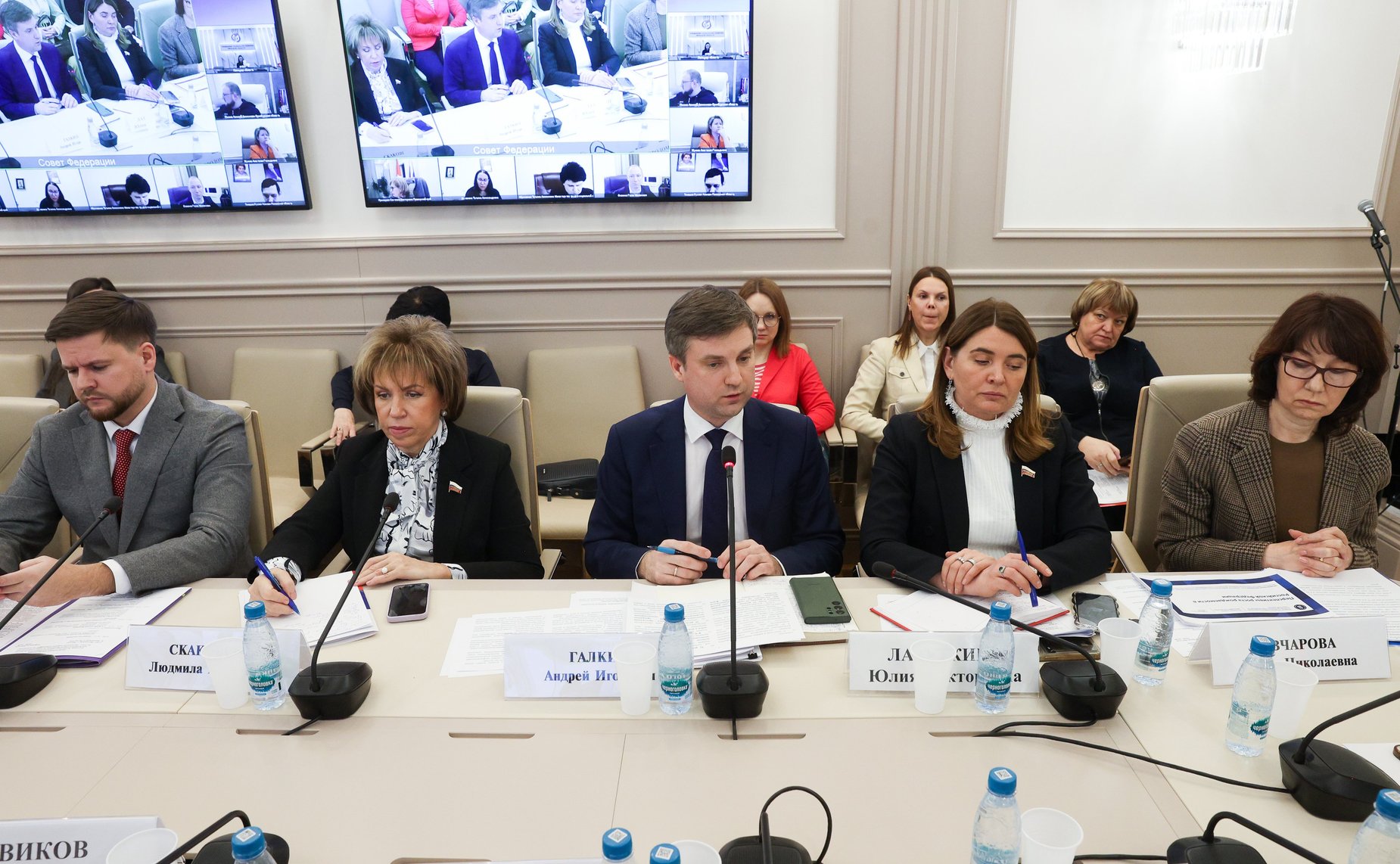 Заседание Экспертного совета по социальному развитию при Комитете Совета Федерации по социальной политике