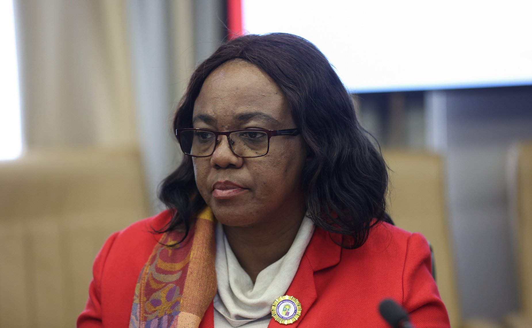 Встреча председателя Комитета СФ по международным делам Григория Карасина с Президентом Экономического и социального совета Центральноафриканской Республики