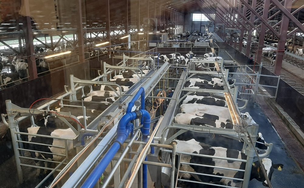 Сергей Мартынов встретился с председателем колхоза «Первое мая» в Марий Эл