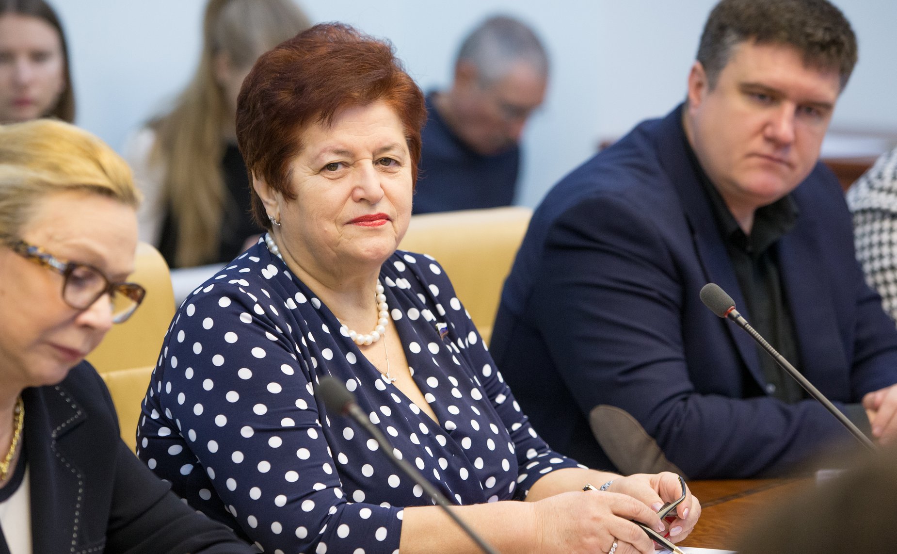 Л. Козлова Расширенное заседание Комитета СФ по социальной политике